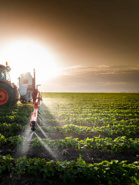Tractor spraying pesticides on soy field  with sprayer at spring
