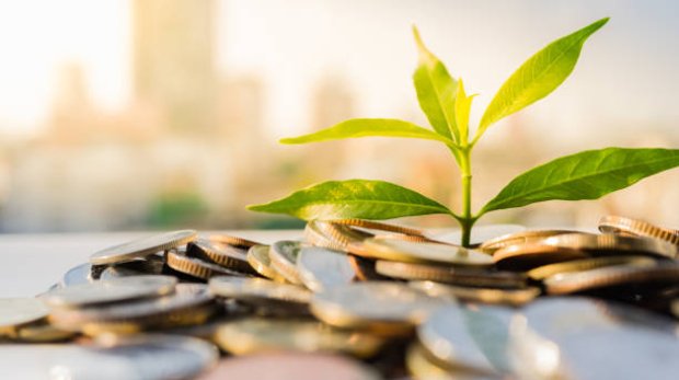 Financial Growth, Plant on pile coins with cityscape background