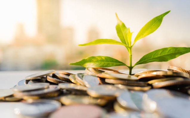 Financial Growth, Plant on pile coins with cityscape background