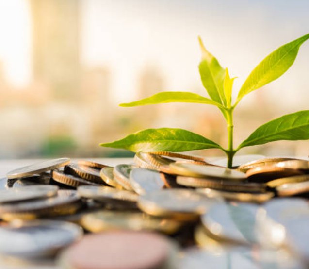 Financial Growth, Plant on pile coins with cityscape background