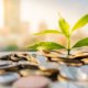 Financial Growth, Plant on pile coins with cityscape background