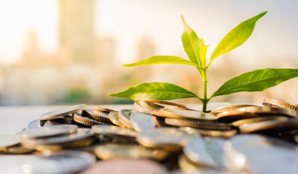 Financial Growth, Plant on pile coins with cityscape background